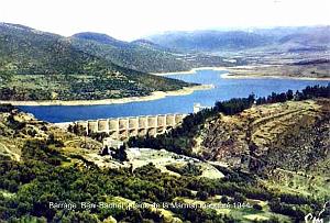 Marnia 601